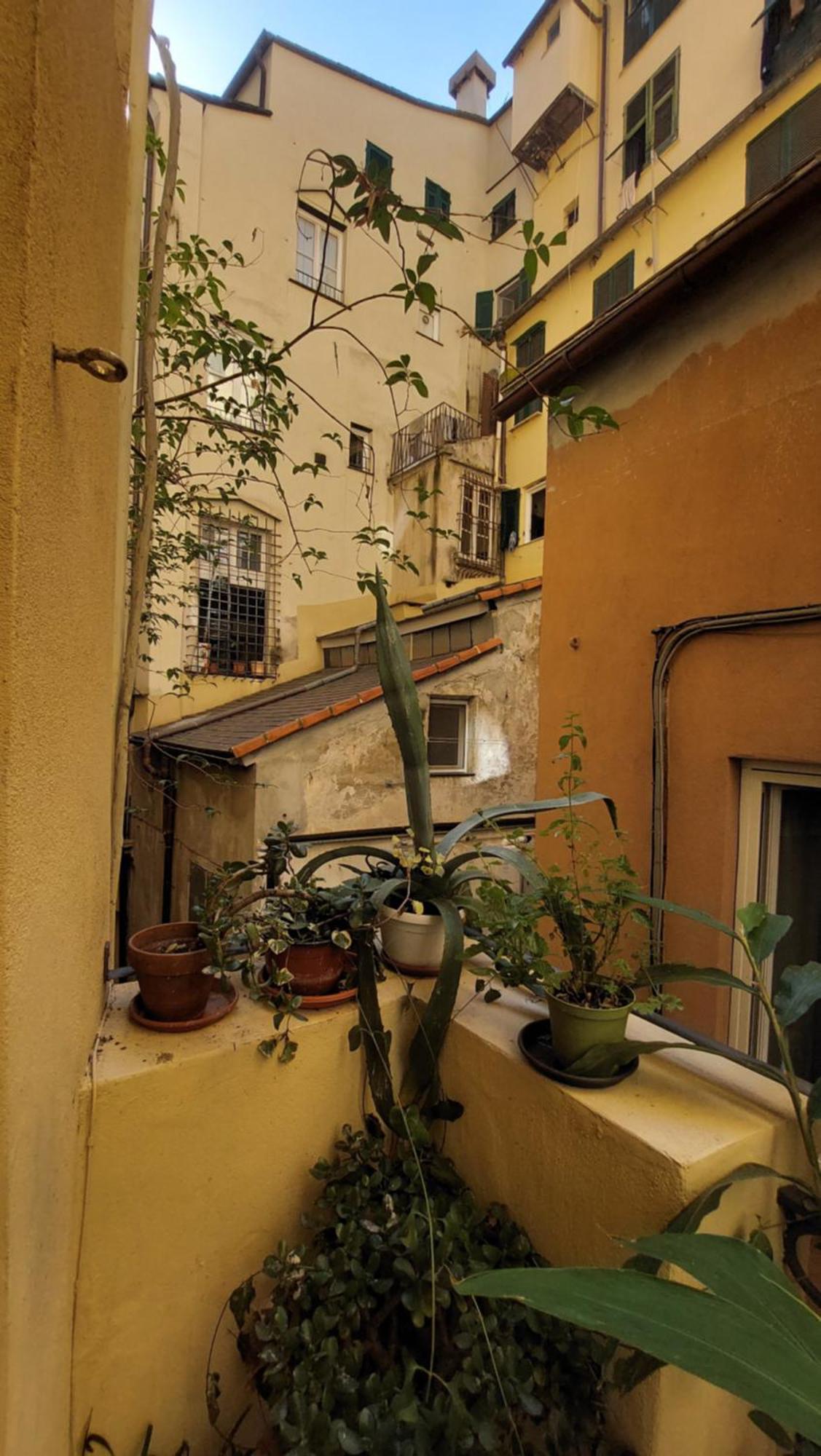 L'Angolo Verde In San Luca Genoa Ngoại thất bức ảnh